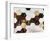 Honeycomb II-Kari Taylor-Framed Giclee Print