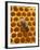 Honeycomb with Bee-null-Framed Photographic Print