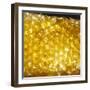 Honeycomb-null-Framed Photographic Print