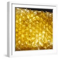 Honeycomb-null-Framed Photographic Print