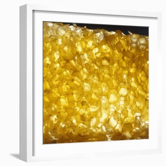 Honeycomb-null-Framed Photographic Print