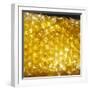 Honeycomb-null-Framed Photographic Print