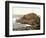 Honeycombs, Giant's Causeway, Ireland, 1890s-Science Source-Framed Giclee Print