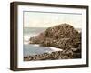 Honeycombs, Giant's Causeway, Ireland, 1890s-Science Source-Framed Giclee Print