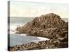 Honeycombs, Giant's Causeway, Ireland, 1890s-Science Source-Stretched Canvas