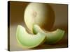 Honeydew Melon and Slices-Chris Rogers-Stretched Canvas