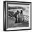 Honeymoon Couple, Colman Laposa Jr. and Wife, Gazing at the Niagara Falls-Yale Joel-Framed Photographic Print