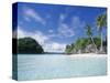 Honeymoon Island, Rock Island-Stuart Westmorland-Stretched Canvas