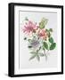 Honeysuckle and Passion Flower-Ursula Hodgson-Framed Giclee Print