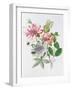 Honeysuckle and Passion Flower-Ursula Hodgson-Framed Giclee Print