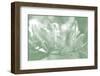 Honeysuckle Summer I-Sharon Chandler-Framed Photographic Print