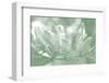 Honeysuckle Summer I-Sharon Chandler-Framed Photographic Print