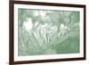 Honeysuckle Summer II-Sharon Chandler-Framed Photographic Print