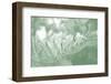 Honeysuckle Summer II-Sharon Chandler-Framed Photographic Print