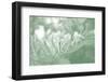 Honeysuckle Summer II-Sharon Chandler-Framed Photographic Print