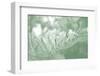 Honeysuckle Summer II-Sharon Chandler-Framed Photographic Print