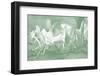 Honeysuckle Summer IV-Sharon Chandler-Framed Photographic Print