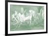 Honeysuckle Summer IV-Sharon Chandler-Framed Photographic Print