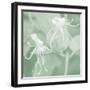 Honeysuckle Summer VIII-Sharon Chandler-Framed Photographic Print