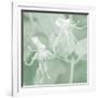 Honeysuckle Summer VIII-Sharon Chandler-Framed Photographic Print