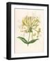 Honeysuckle-F. Edward Hulme-Framed Photographic Print