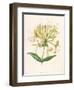 Honeysuckle-F. Edward Hulme-Framed Photographic Print