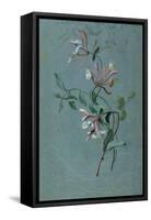 Honeysuckle-Pierre-Joseph Redouté-Framed Stretched Canvas