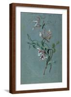 Honeysuckle-Pierre-Joseph Redouté-Framed Giclee Print