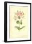 Honeysuckle-Frederick Edward Hulme-Framed Premium Giclee Print