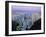 Hong Kong At Dawn-Damien Lovegrove-Framed Photographic Print