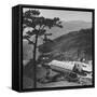 Hong Kong Farm-null-Framed Stretched Canvas