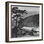 Hong Kong Farm-null-Framed Photographic Print