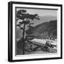 Hong Kong Farm-null-Framed Photographic Print