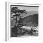 Hong Kong Farm-null-Framed Photographic Print