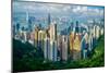 Hong Kong on a summer afternoon seen from Victoria Peak, Hong Kong, China, Asia-Logan Brown-Mounted Photographic Print