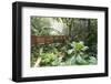 Hong Kong Park Aviary in Central, Hong Kong Island, Hong Kong, China, Asia-Fraser Hall-Framed Photographic Print