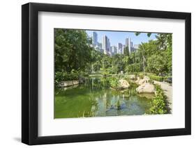 Hong Kong Park in Central, Hong Kong Island, Hong Kong, China, Asia-Fraser Hall-Framed Photographic Print