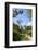 Hong Kong Park in Central, Hong Kong Island, Hong Kong, China, Asia-Fraser Hall-Framed Photographic Print