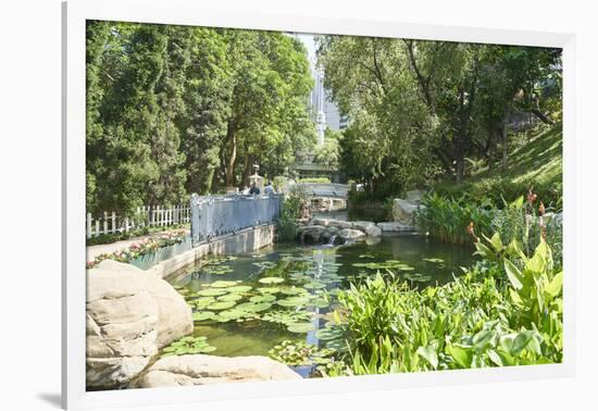 Hong Kong Park in Central, Hong Kong Island, Hong Kong, China, Asia-Fraser Hall-Framed Photographic Print