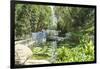 Hong Kong Park in Central, Hong Kong Island, Hong Kong, China, Asia-Fraser Hall-Framed Photographic Print