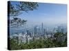 Hong Kong Skyline from Victoria Peak, Hong Kong, China-Amanda Hall-Stretched Canvas