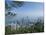 Hong Kong Skyline from Victoria Peak, Hong Kong, China-Amanda Hall-Mounted Photographic Print