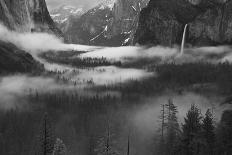 Fog Floating in Yosemite Valley-Hong Zeng-Framed Photographic Print