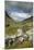 Honister Pass, Lake District National Park, Cumbria, England, United Kingdom, Europe-David Wogan-Mounted Photographic Print