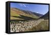 Honister Pass, Lake District National Park, Cumbria, England, United Kingdom, Europe-John Potter-Framed Stretched Canvas