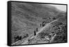 Honister Pass, Lake District-null-Framed Stretched Canvas