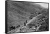 Honister Pass, Lake District-null-Framed Stretched Canvas