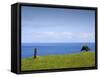 Honokaa, Hawaii - February 6, 2010: a Zen Moment Along the Hamakua Coast.-Ian Shive-Framed Stretched Canvas