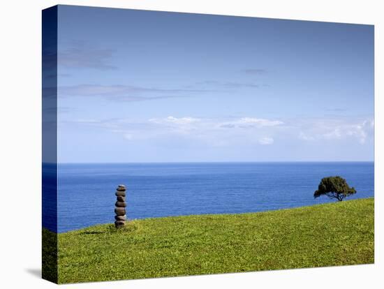 Honokaa, Hawaii - February 6, 2010: a Zen Moment Along the Hamakua Coast.-Ian Shive-Stretched Canvas