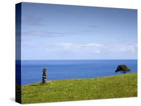 Honokaa, Hawaii - February 6, 2010: a Zen Moment Along the Hamakua Coast.-Ian Shive-Stretched Canvas